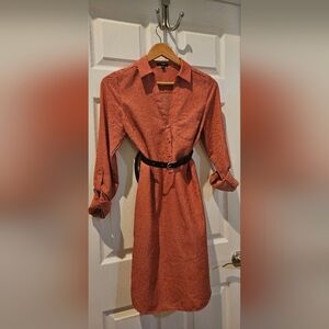 The Limited Rust Long Sleeve Dress